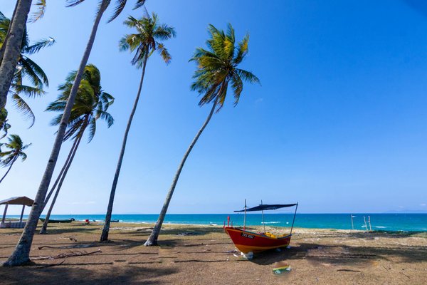 Explorez le mont saint-michel : un voyage épique à travers son histoire et son architecture légendaire