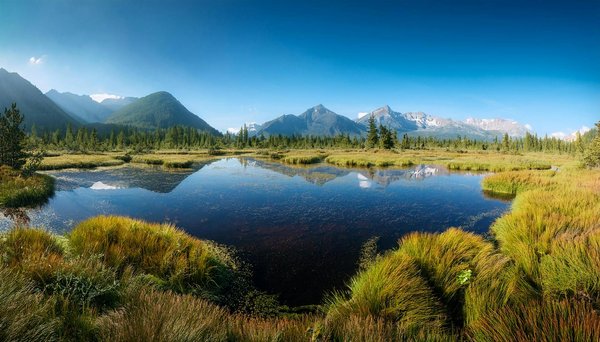 Quelles tendances façonnent l'avenir du tourisme ?
